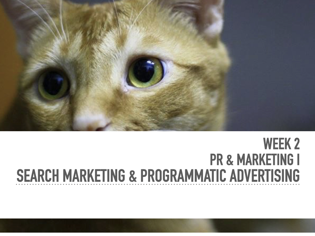 Search Marketing & Programmatic Advertising